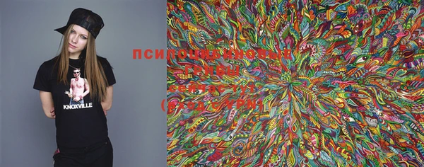 2c-b Переславль-Залесский