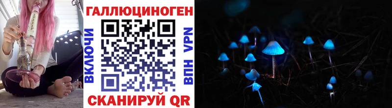 Псилоцибиновые грибы мицелий  blacksprut как войти  Купино  цена наркотик 